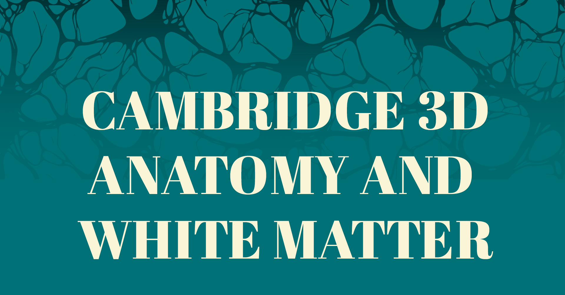 Cambridge 3D Anatomy and White Matter Course